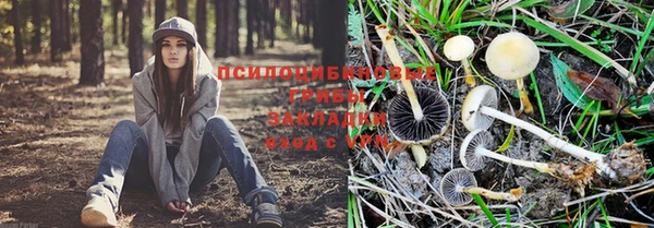 ALPHA PVP Нягань