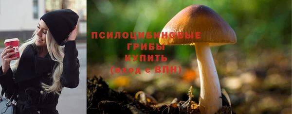 MDMA Premium VHQ Нязепетровск