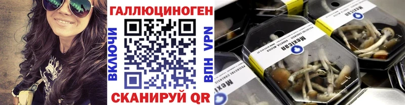 Псилоцибиновые грибы мицелий где найти наркотики Подпорожье
